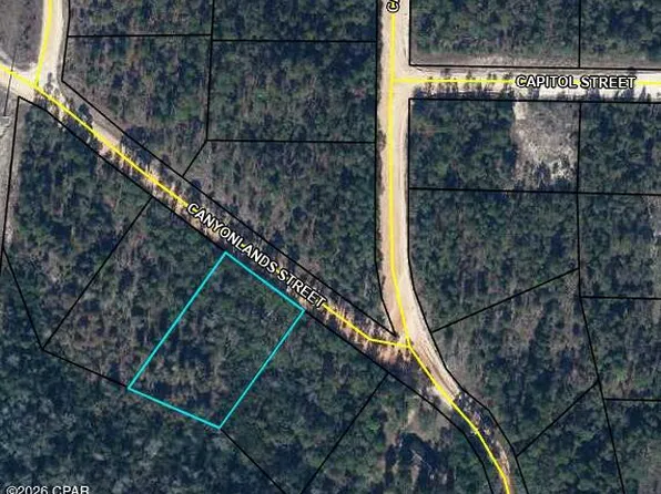 0 Canyonlands St, Alford, FL 32420