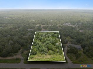 165 Lantana Ln, Cedar Creek, TX 78612