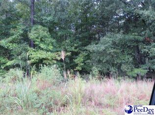 41 Ashland Rd, Mc Bee, SC 29101