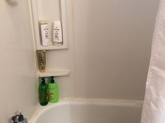 3rd image of 1534 Green St