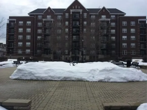 390 W Mahogany Ct Unit 610, Palatine, IL 60067