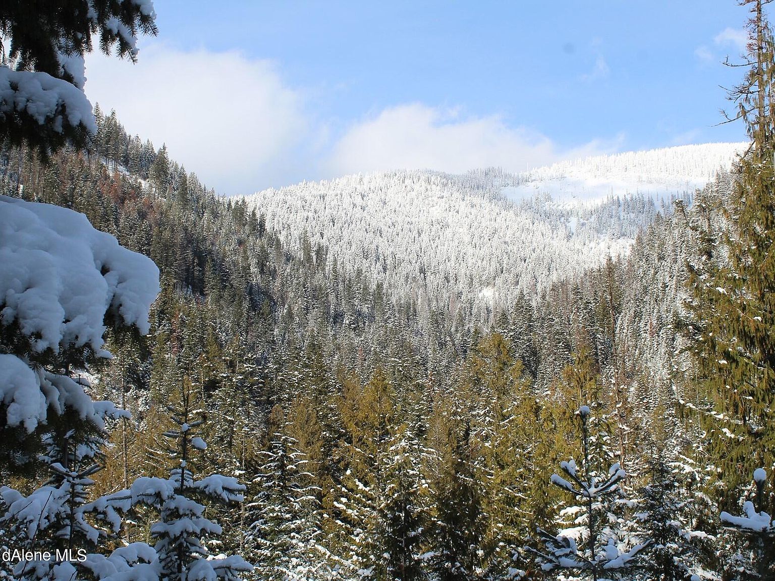 Star Claim 1 & 3 Daisy Gulch Rd, Mullan, ID 83846 Zillow