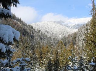 Star Claim 1 & 3 Daisy Gulch Rd, Mullan, ID 83846