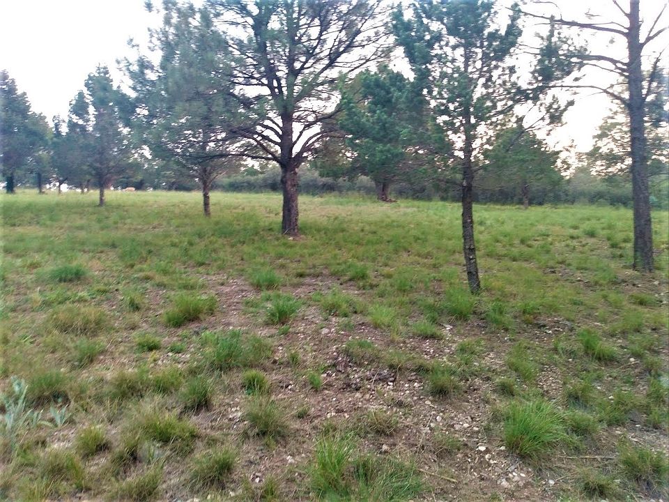 2nd image of 71 Timber Dr