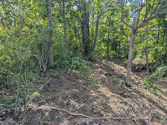 5th image of 2621 4th Concession Rd