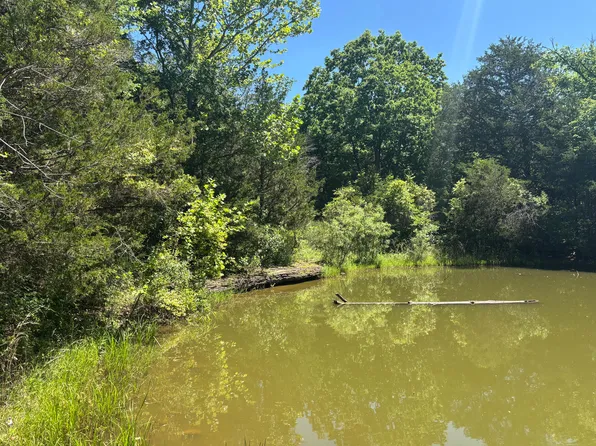 Tbd Highway 160, Theodosia, MO 65761