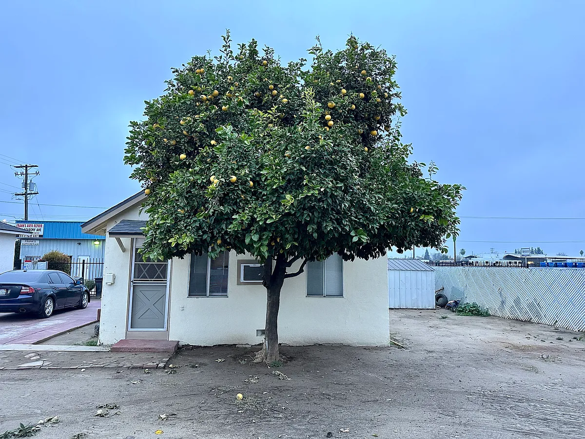 Building Photo - 1220 1/2 Academy Ave