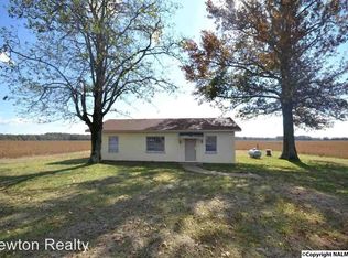 11850 Snake Rd, Athens, AL 35611