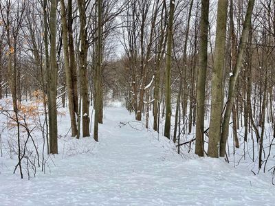 Vl W Grant Rd, Shelby, MI, 49455