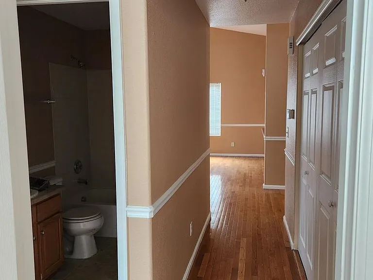 4845 Mount Evans St — Photo 8