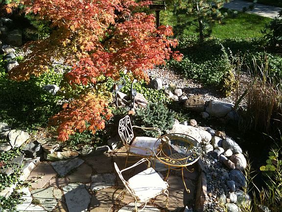 Backyard Fall
