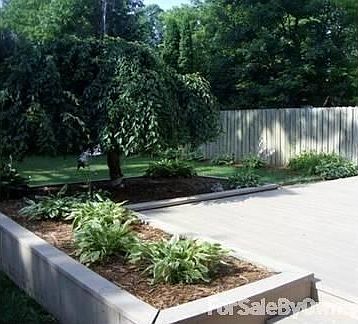 Back yard