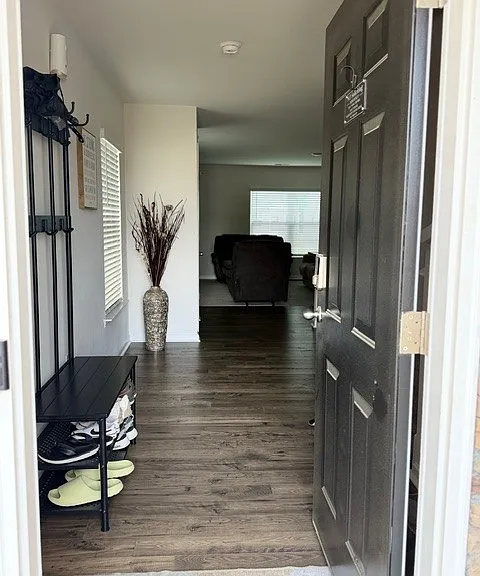 1348 Saddle Ct — Photo 4