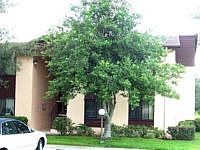 1st image of 510 Silver Crse APT A