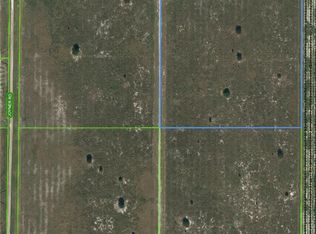 107 Ben Hill Griffin Rd, Venus, FL 33960