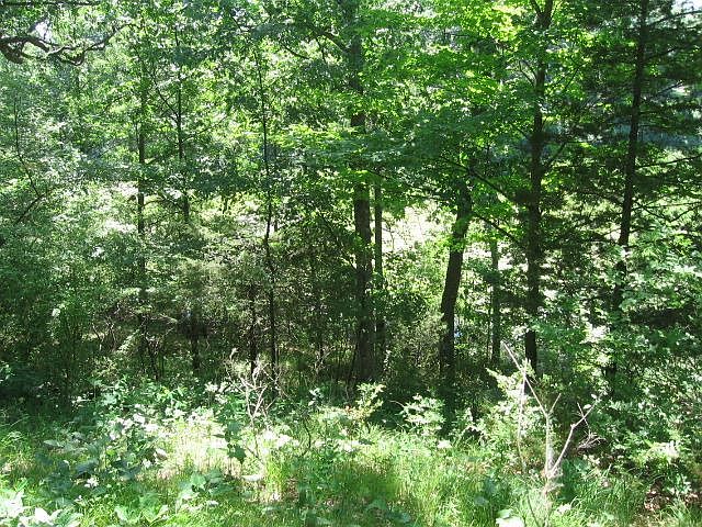 2nd image of 10979 N Waldron Rd