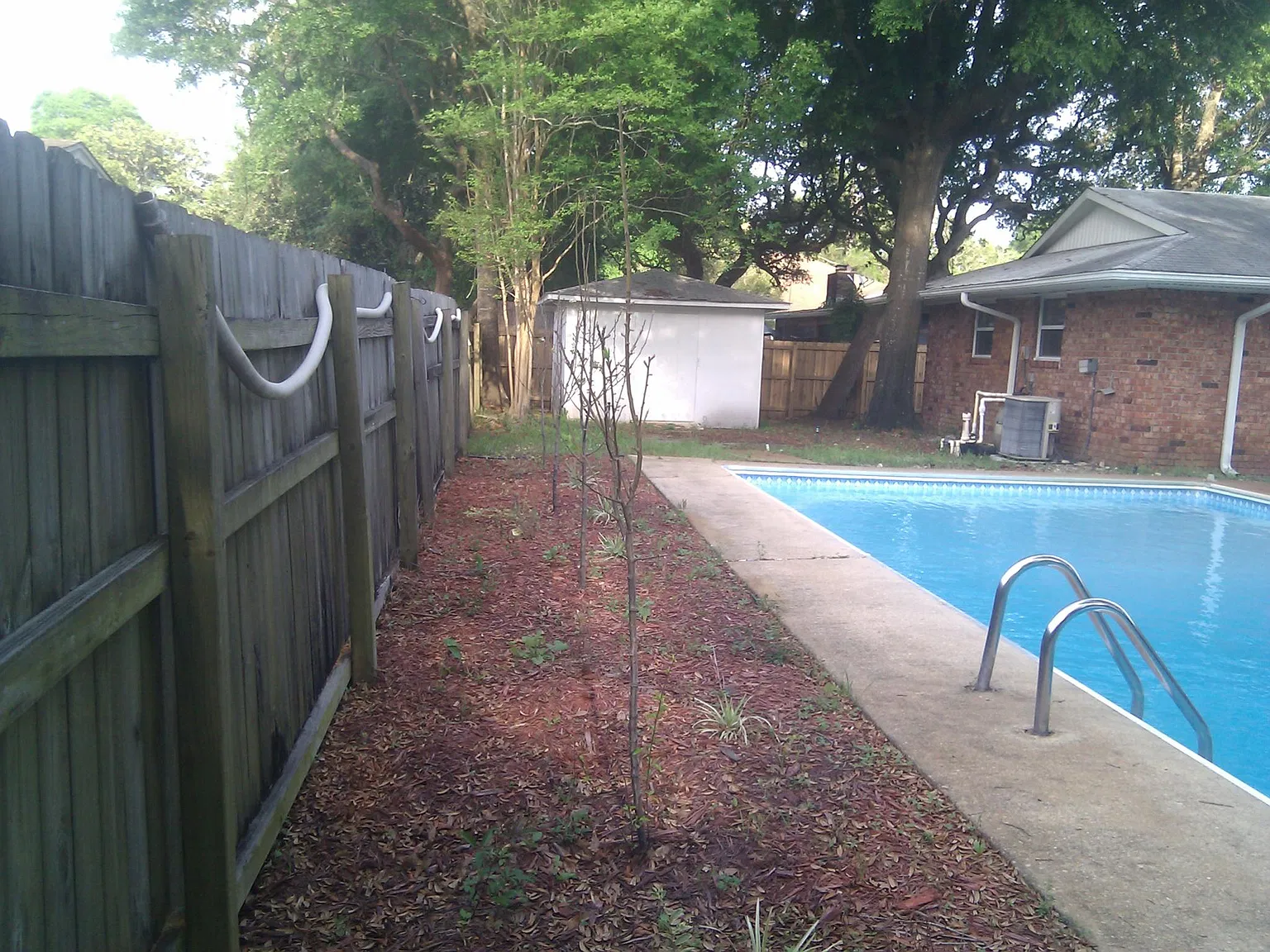 4 bed, 2.5 bath, 1972 sqft, $3,000 — Photo 3