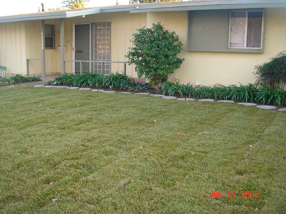 Newly landscaped front yard