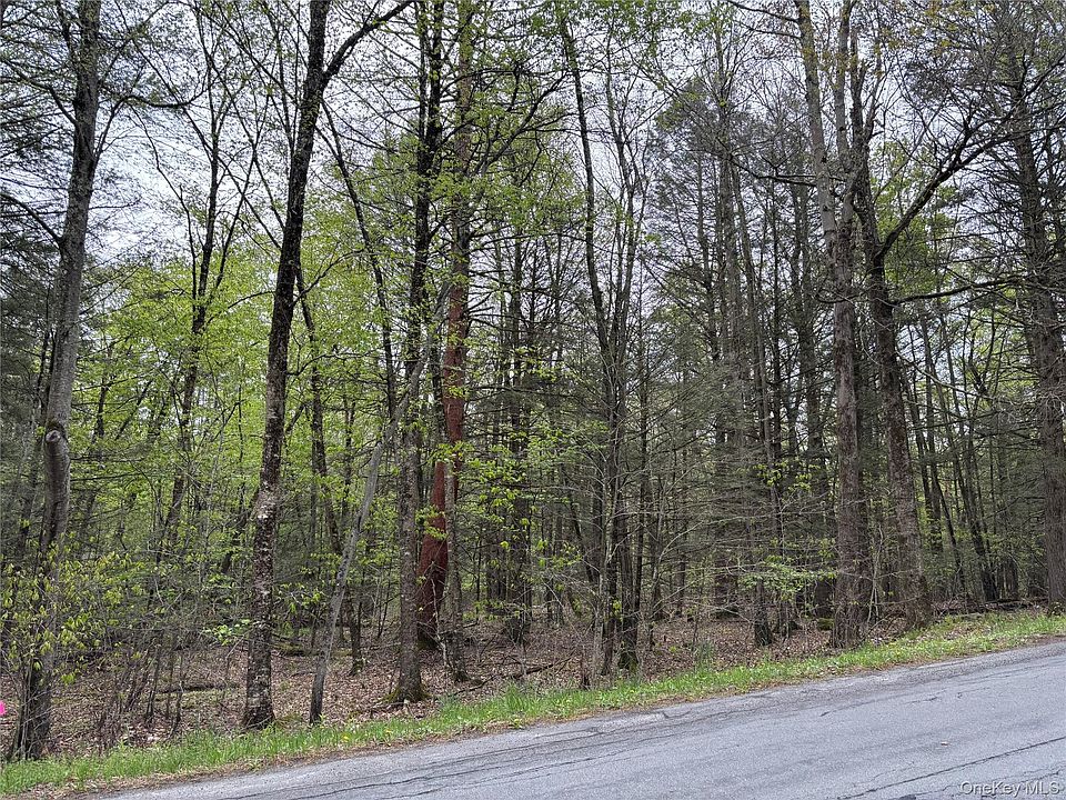 1st image of Braden Road