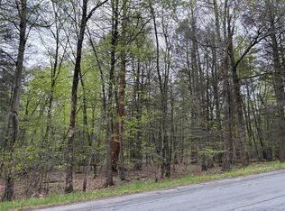 Braden Road, Mountain Dale, NY 12763