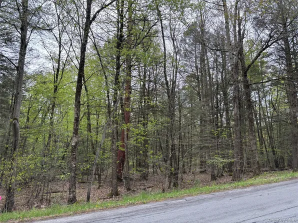 Braden Road, Mountain Dale, NY 12763