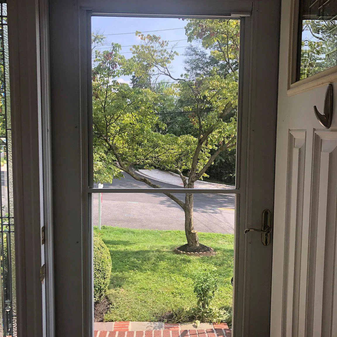 4 bed, 3.0 bath, 2284 sqft, $3,900 — Photo 2