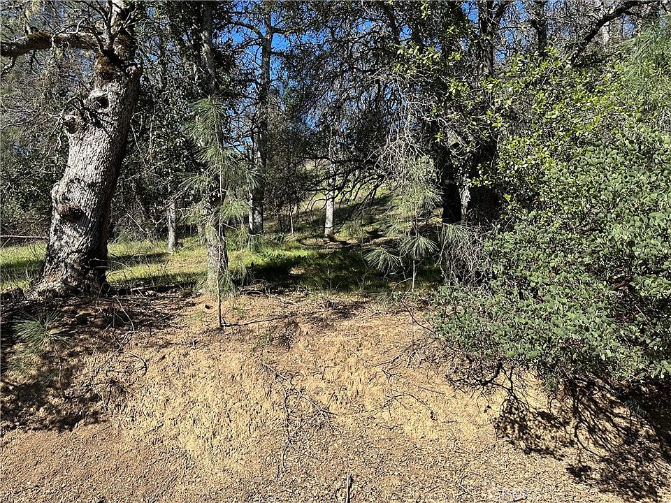 2nd image of 17509 Cache Creek Rd Lot 828