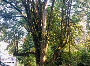 10415 107th Street Ct, Anderson Island, WA 98303