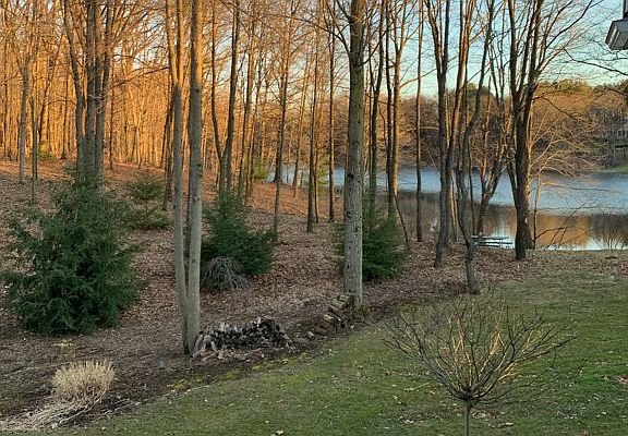 4th image of 1520 Doe Cir