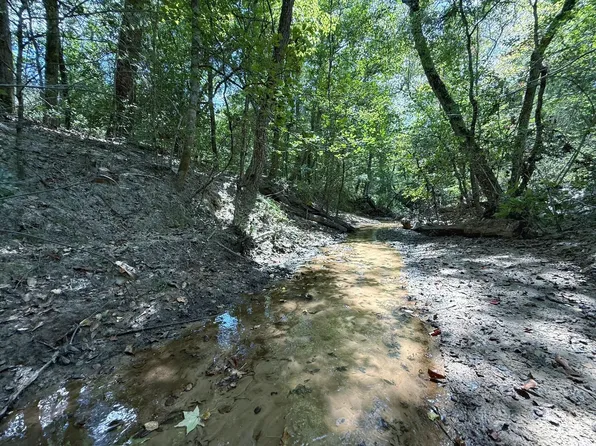 40 Ac Pr #2190, Buffalo, TX 75831