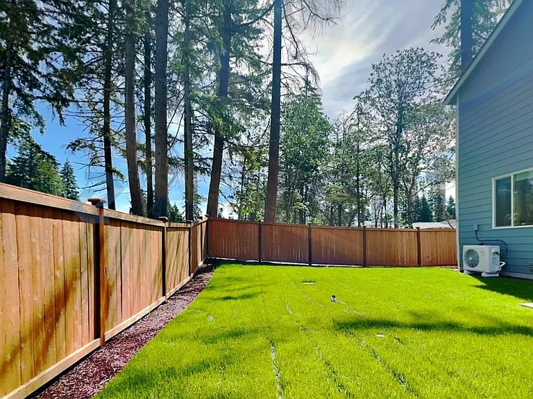 Back yard-01