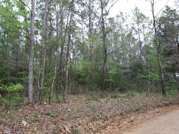 Katherine Dr, Woodville, TX 75979