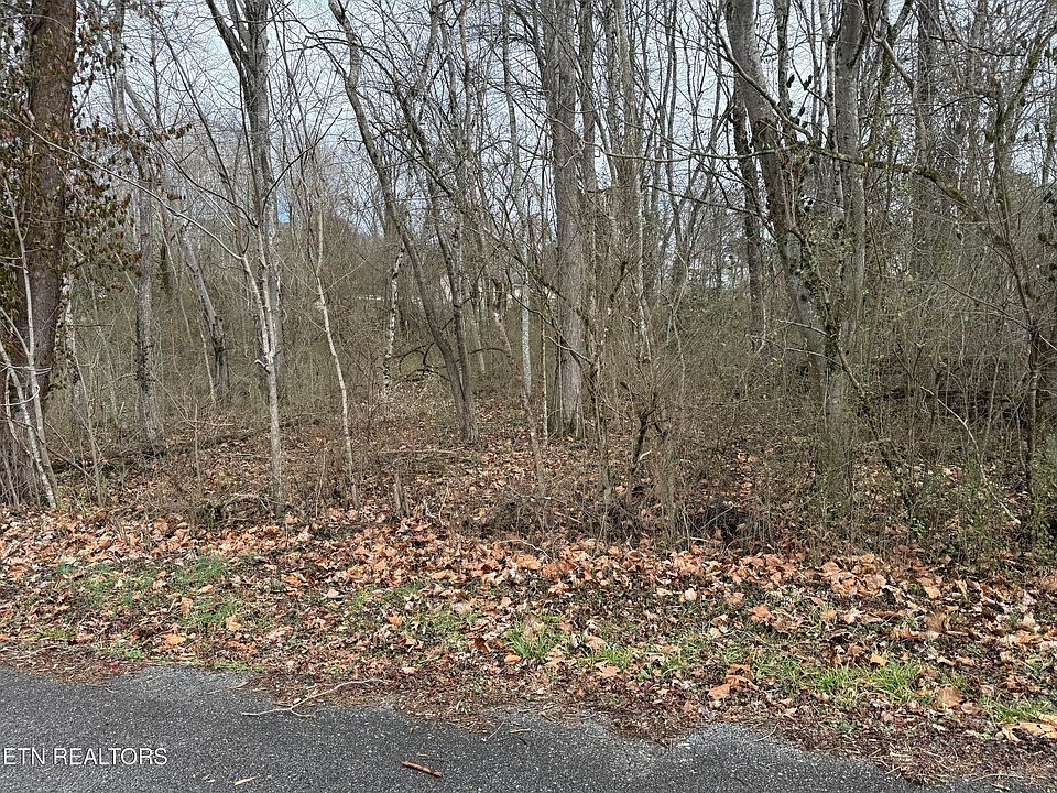 1st image of Jodys Ln #2
