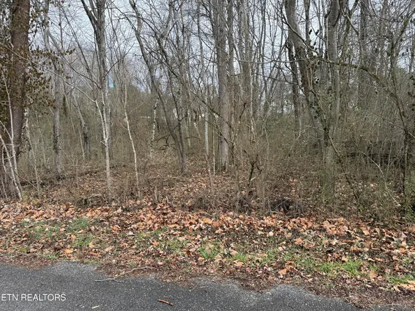 Jodys Ln #2, Rockwood, TN 37854