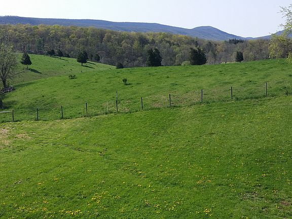 Spring view off deck