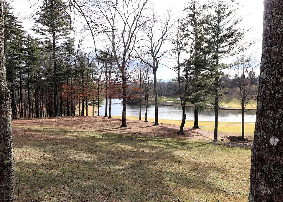 Manor House Dr, Laurel Fork, VA 24352 MLS 92466 Zillow