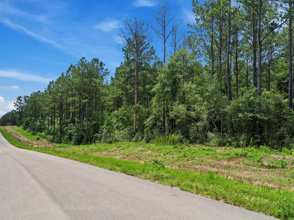 16303 Golden Wood Ct, Willis, TX 77378