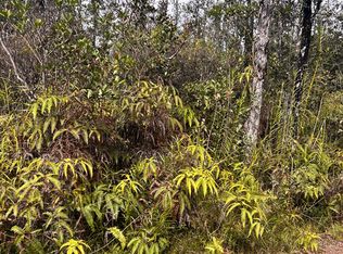 Road 6 Ooaa LOT 4105, Kurtistown, HI 96760