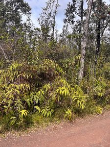 Road 6 Ooaa Lot 4105, Kurtistown, HI, 96760
