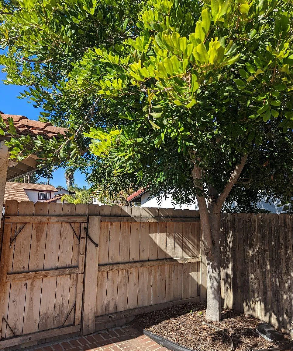 1725 Coyote Ct — Photo 2