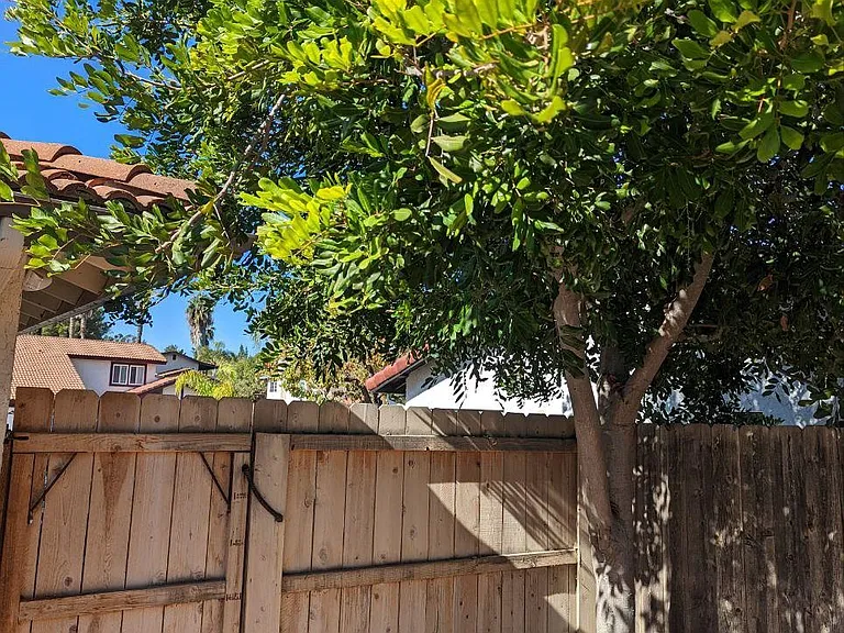 1725 Coyote Ct — Photo 2