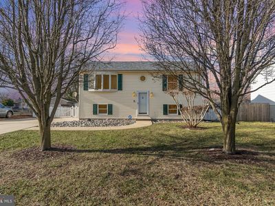 53 Lincoln Ave, North East, MD, 21901