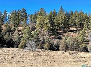 2.7 County Road 352, Dulce, NM 87528