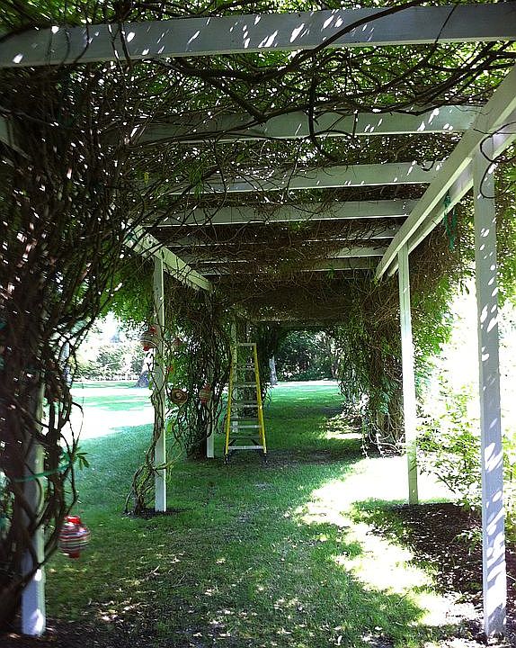 1st image of 5 Heatherwood Ln
