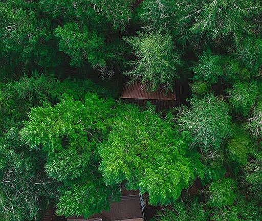 3rd image of 270 E Emerald Lake Dr E