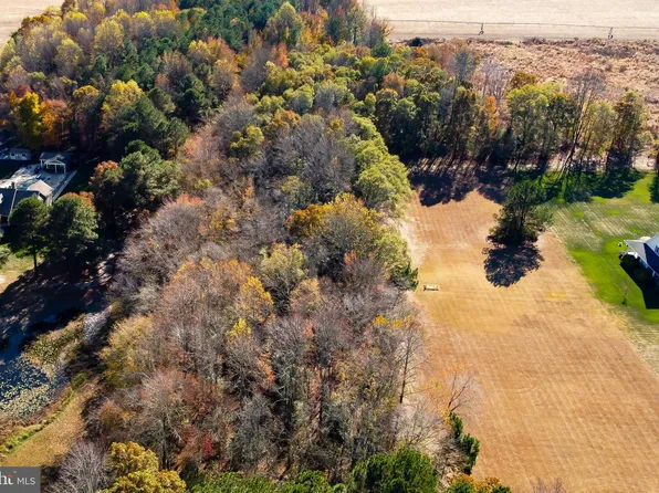 LOT 3 Reynolds Pond Rd, Ellendale, DE 19941