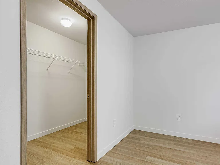 Bedroom with Walk-In Closet