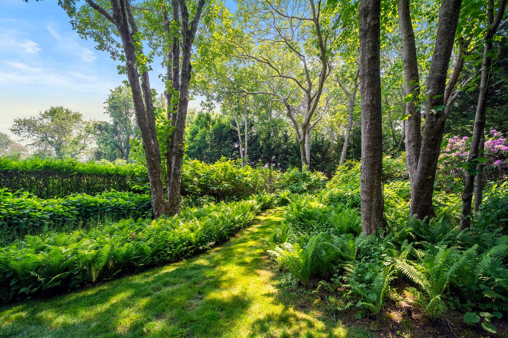 Landscaped garden paths