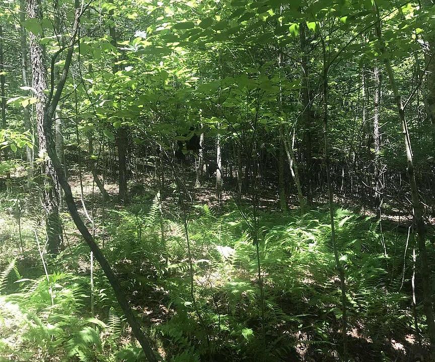 1st image of 26 Ivy Log Ests