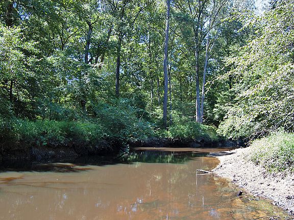 5th image of 2 State Highway 33 E Lot 1